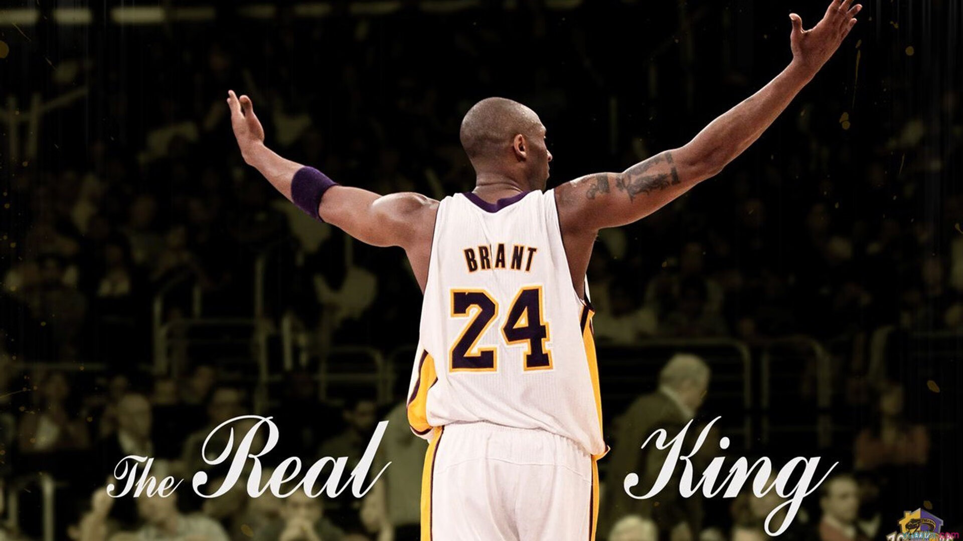 文班亚马式爆发，深圳队如何以立体火力压制上海队