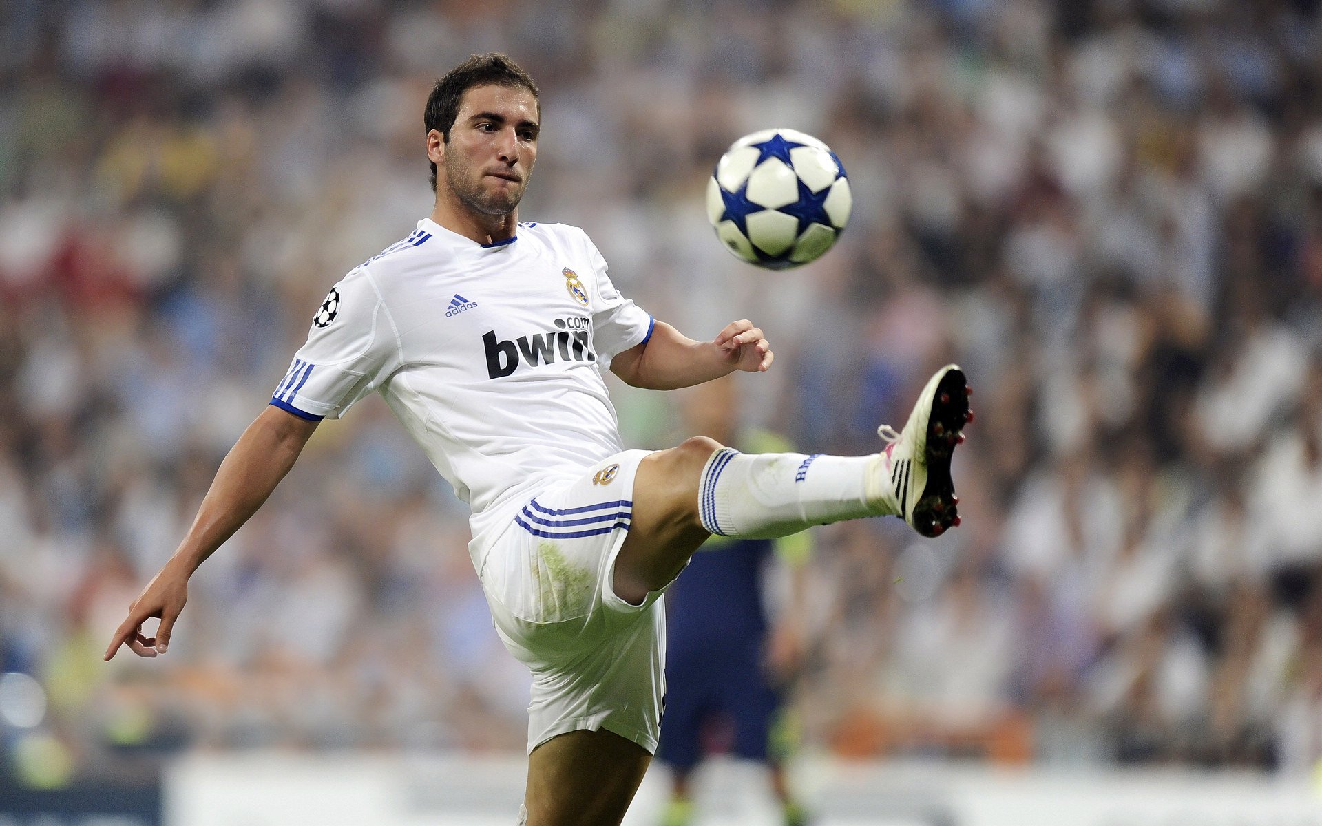 绿茵双城记,波斯铁骑的决胜与伊比利亚之王的加冕